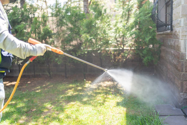 Best Best Pest Control Companies  in Clearview, WA