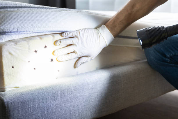 Best Wildlife Control Services  in Clearview, WA