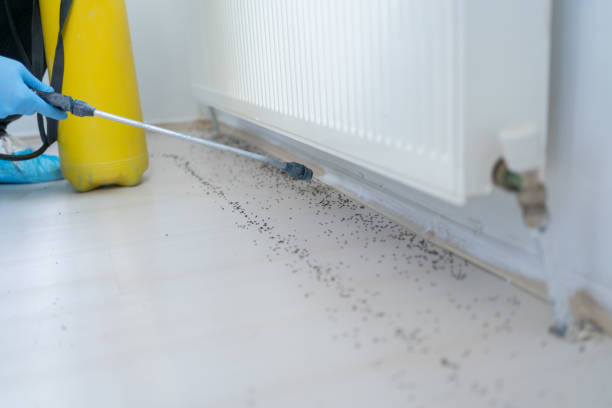 Best Pest Prevention Services  in Clearview, WA
