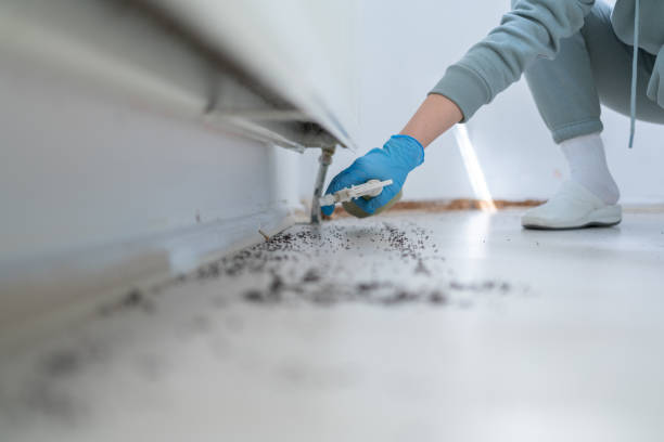 Best Bird Control  in Clearview, WA