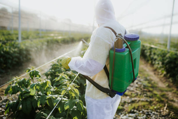 Best Pest Removal Services  in Clearview, WA